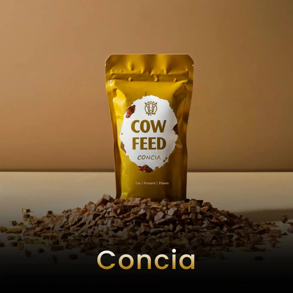 Concia – Brand Name for a Farm Animal Feed Company